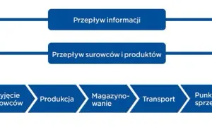 Logistyk vs spedytor: Kto za co odpowiada w łańcuchu dostaw?