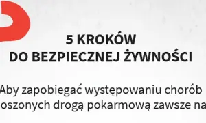 Wybór spedycji: 7 kroków do bezpiecznej i zyskownej współpracy.