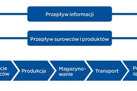 Logistyk vs spedytor: Kto za co odpowiada w łańcuchu dostaw?