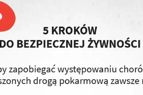 Wybór spedycji: 7 kroków do bezpiecznej i zyskownej współpracy.