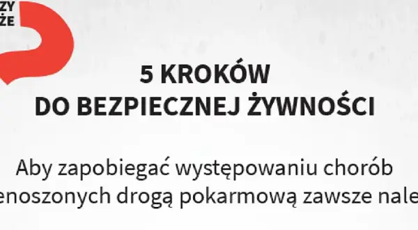 Wybór spedycji: 7 kroków do bezpiecznej i zyskownej współpracy.